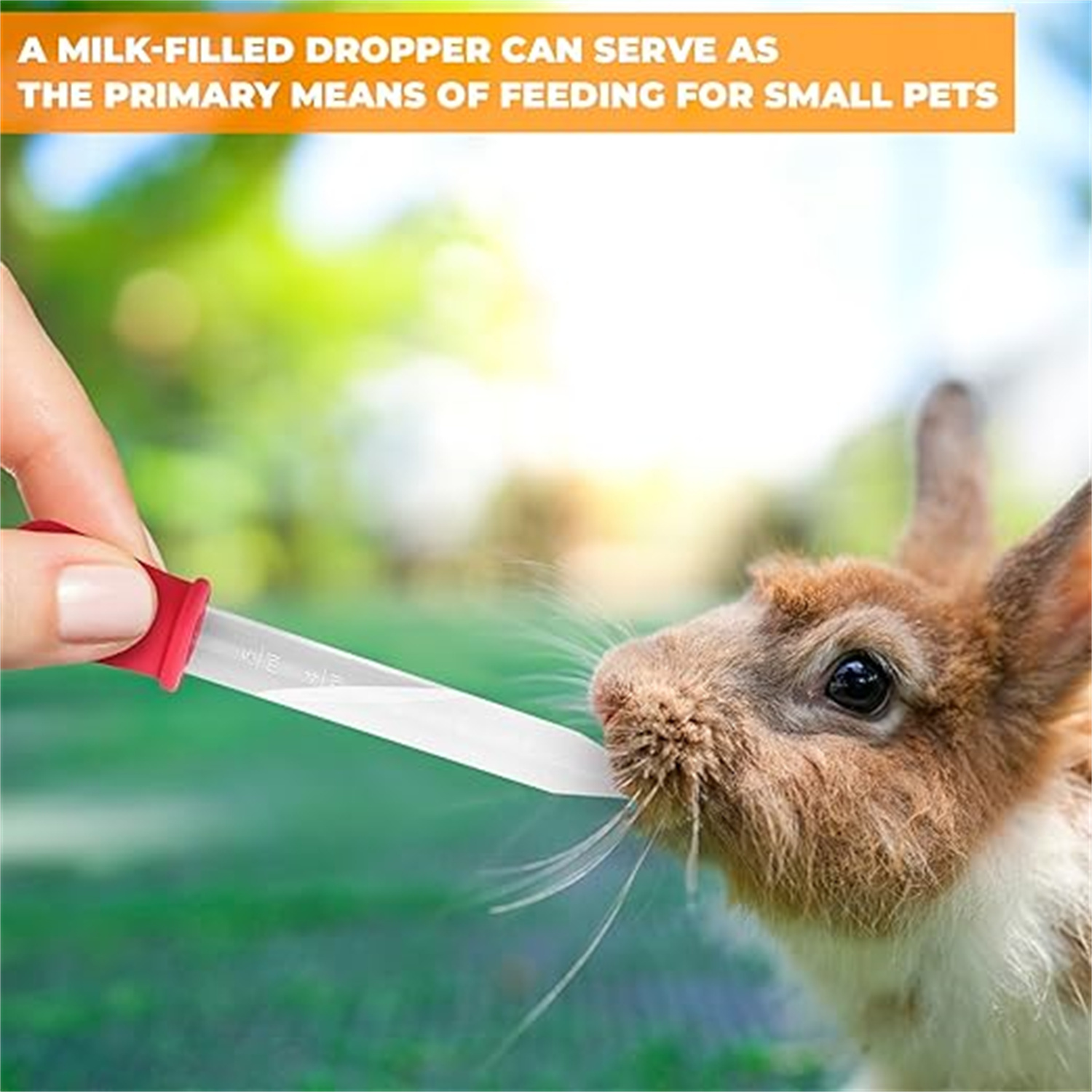8 szt. Silikonowych i plastiko – Lab Pipette Tip recenzja i cena
